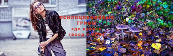 прущие крисы Абаза