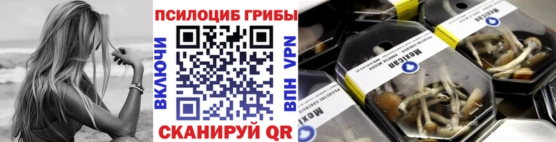 наркотики  Шебекино  Псилоцибиновые грибы мухоморы 